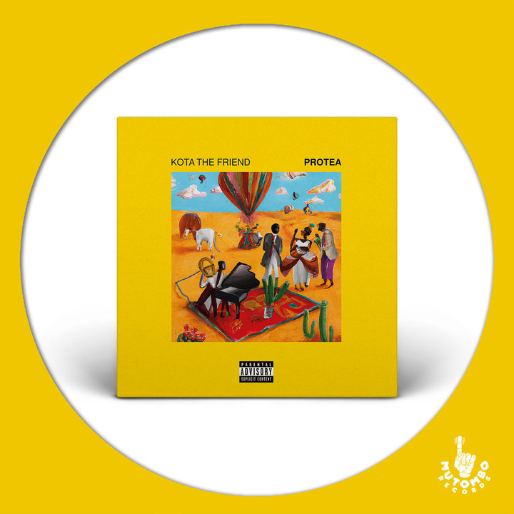 Kota the Friend - Protea